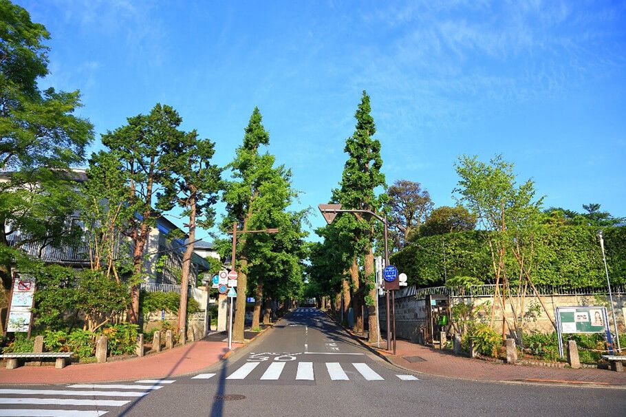 緑豊かな田園調布の街並み